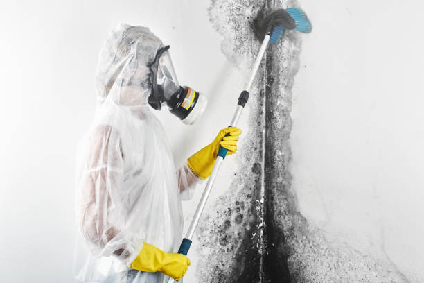 Forensic Mold Investigation in City View, SC