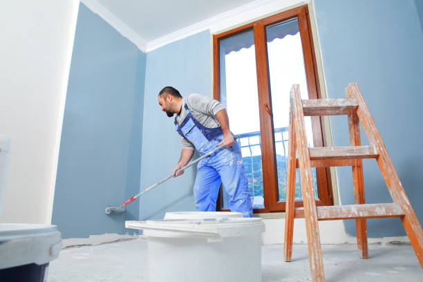 Best Mold Odor Removal Services  in City View, SC