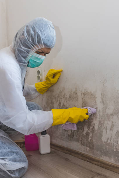 Best Forensic Mold Investigation  in City View, SC