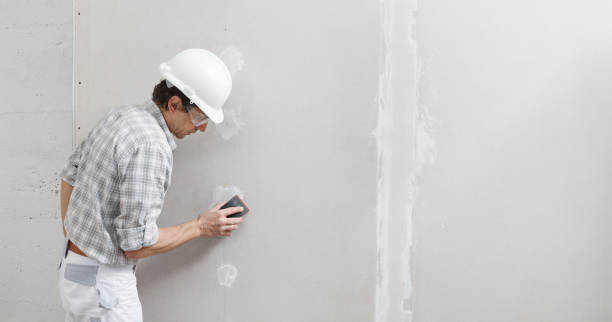 Best Environmental Consulting for Mold Prevention  in City View, SC