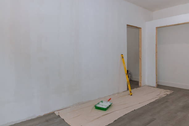 Trusted City View, SC Mold Removal Experts
