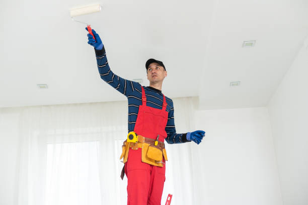 Best Attic Mold Removal  in City View, SC