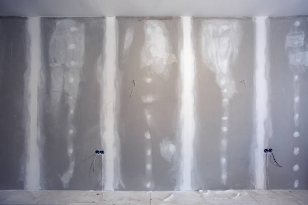 Mold Odor Removal Services in City View, SC